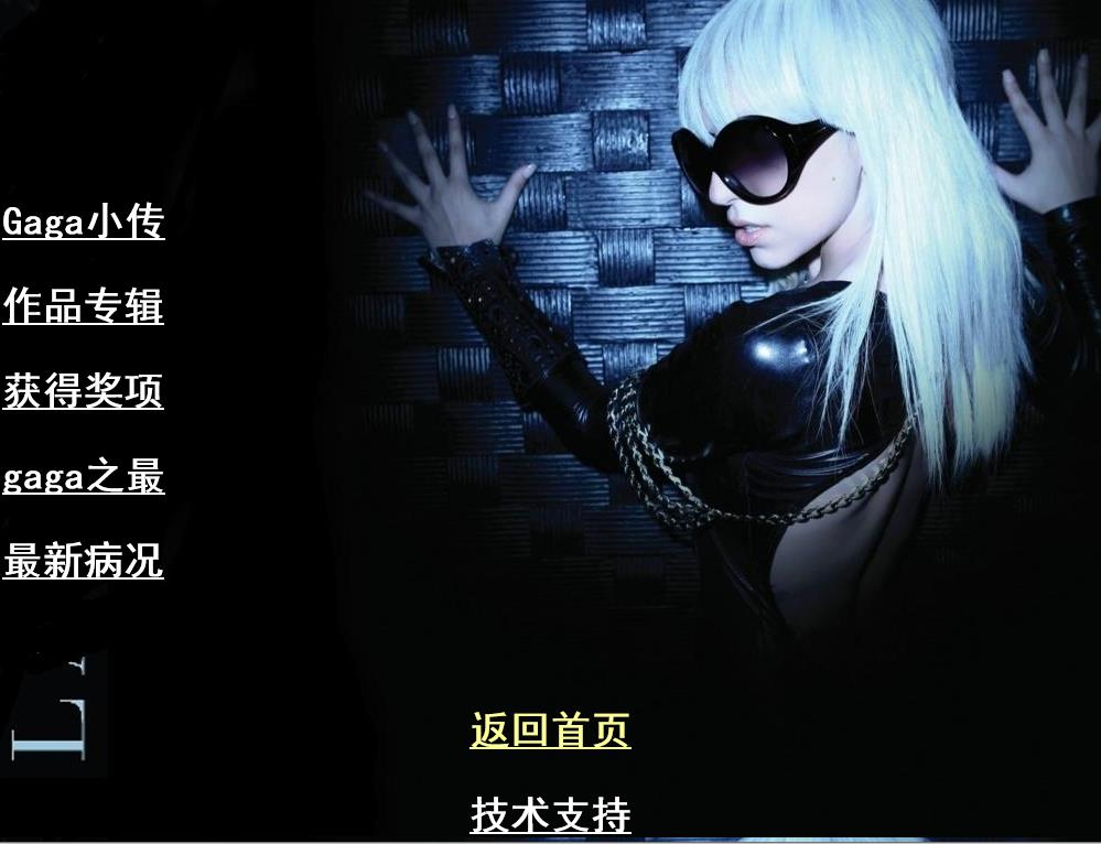 LADY GAGA偶像网页作业 预览图3