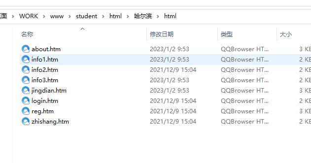 哈尔滨主题HTML网页设计作业，家乡主题网页作业，期末DW作业 预览图3