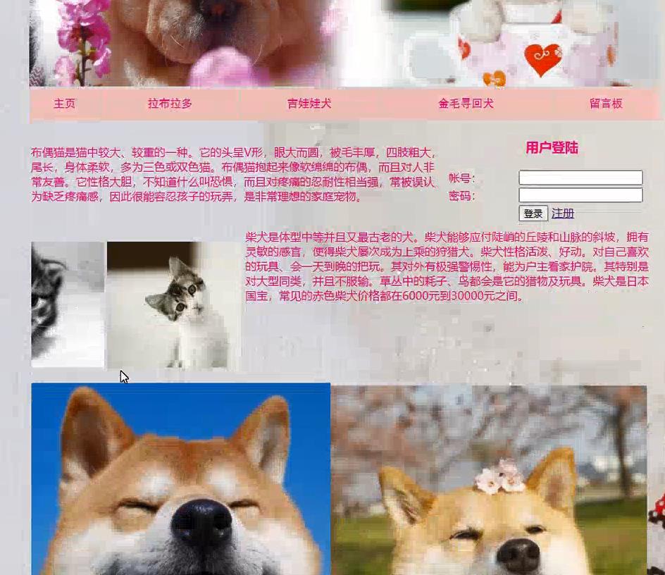 基于PHP的宠物主题注册登录留言板系统,PHP期末网页设计大作业源码下载