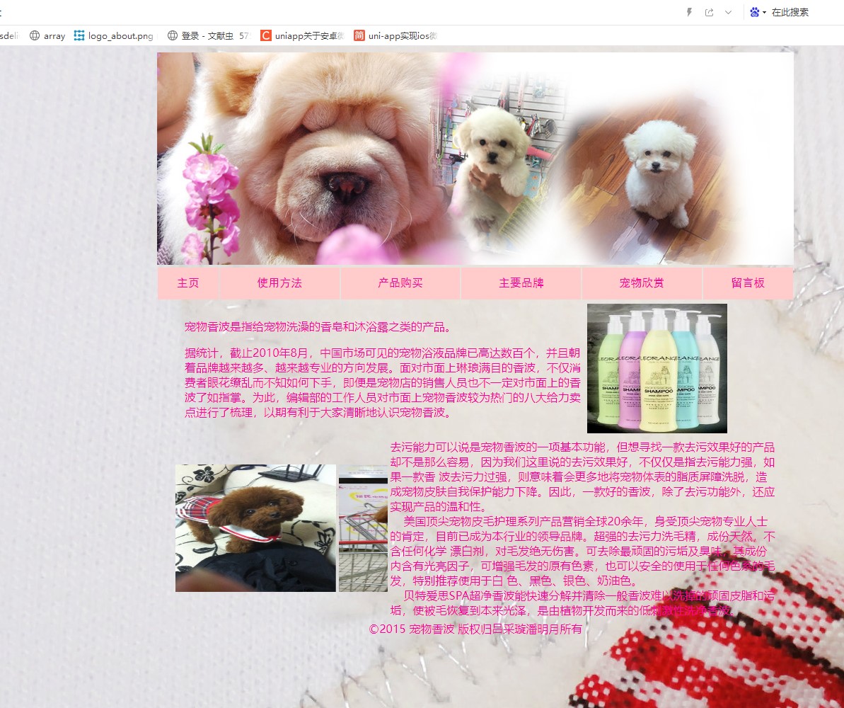 基于ASP宠物主题