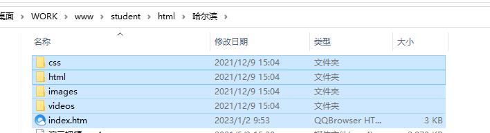 哈尔滨主题HTML网页设计作业，家乡主题网页作业，期末DW作业 预览图4